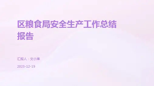 区粮食局安全生产工作总结报告