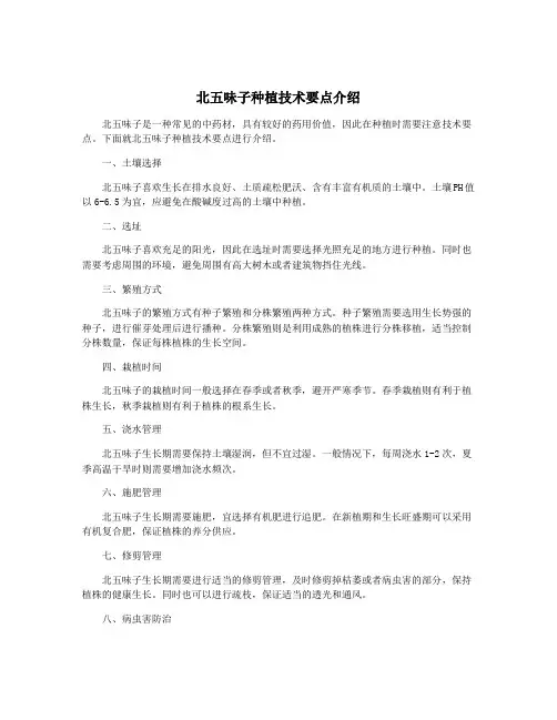 北五味子种植技术要点介绍