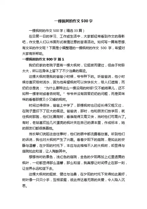 一棵枫树的作文500字（精选33篇）