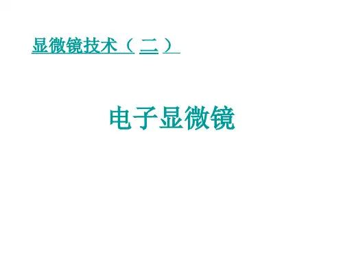 扫描电镜、透射显微镜