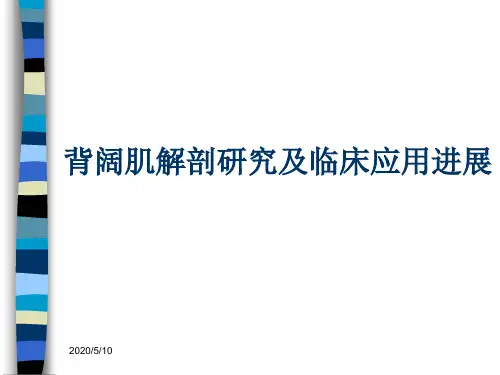 背阔肌解剖研究及临床应用进展讲解