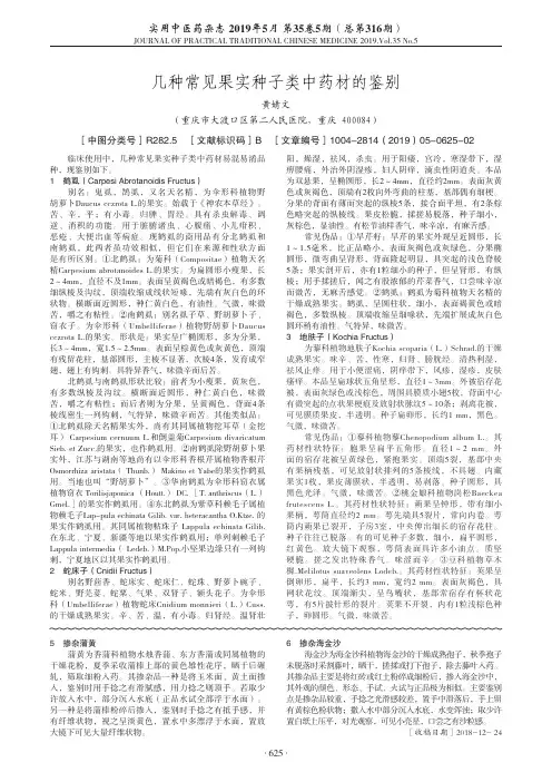 几种常见果实种子类中药材的鉴别