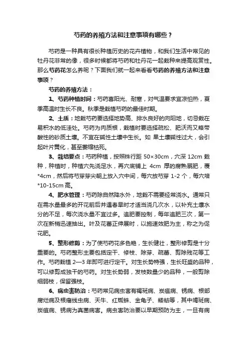 芍药的养殖方法和注意事项有哪些？