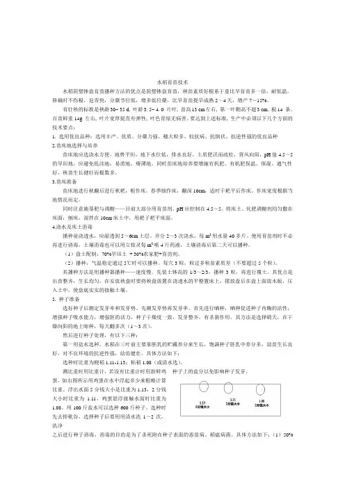 水稻育苗技术