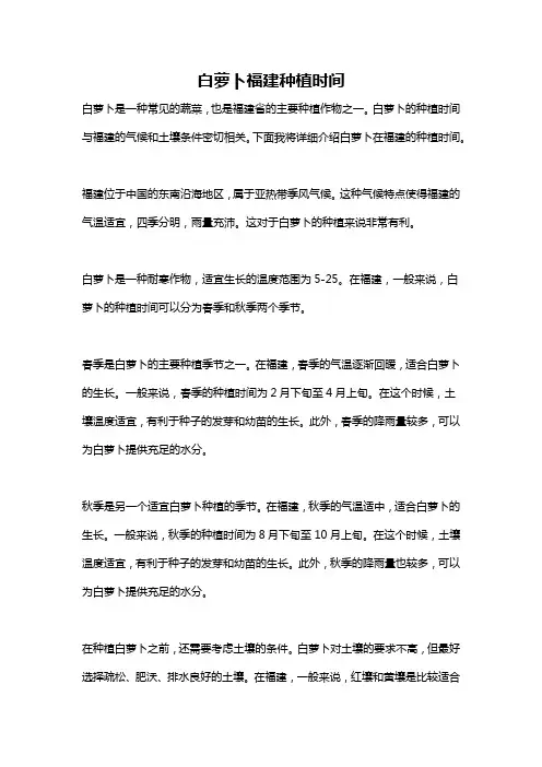 白萝卜福建种植时间
