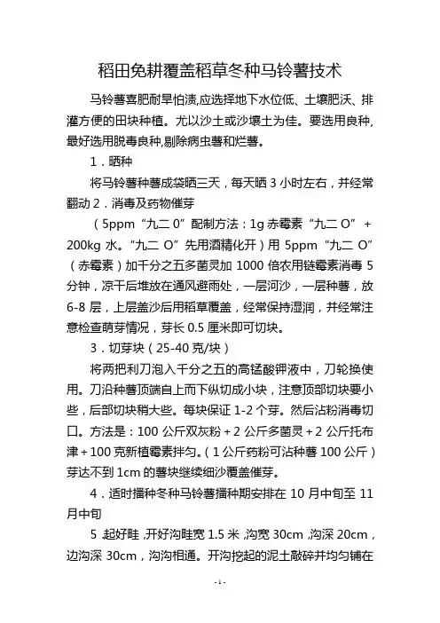 稻田免耕覆盖稻草冬种马铃薯技术