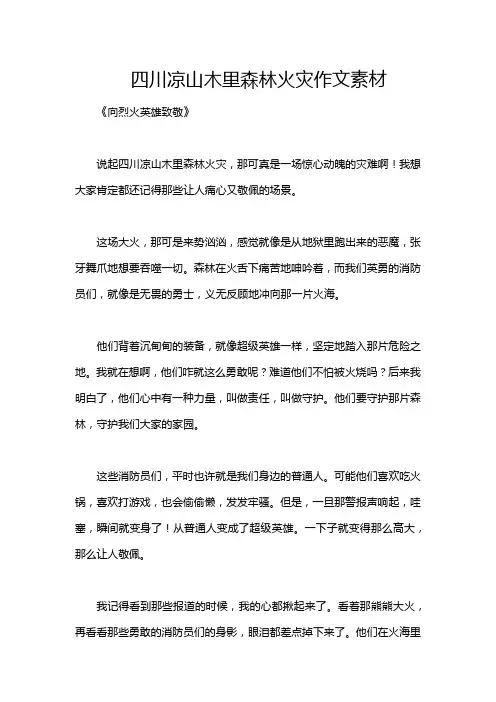 四川凉山木里森林火灾作文素材