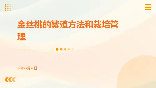 金丝桃的繁殖方法和栽培管理