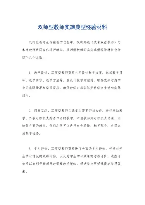 双师型教师实施典型经验材料