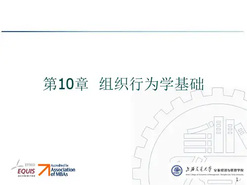 管理学课件 顾锋版第十章