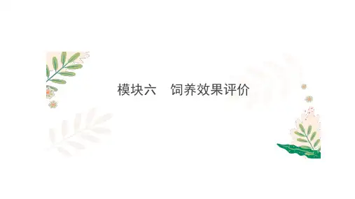 饲养效果评价课件(共11张PPT)《畜禽营养与饲料》