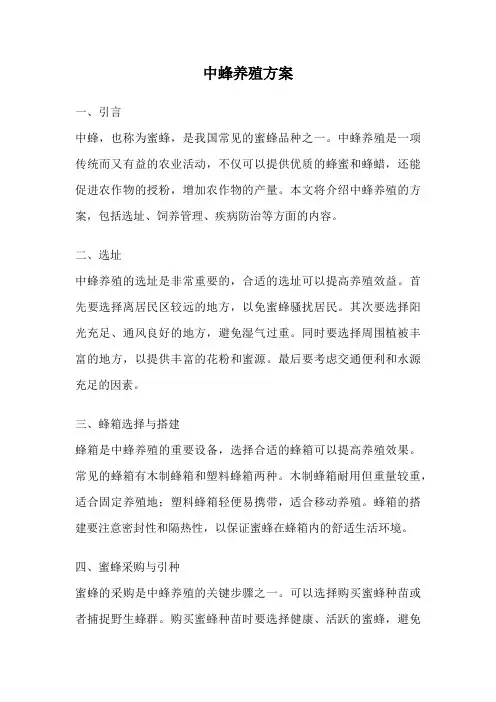 中蜂养殖方案