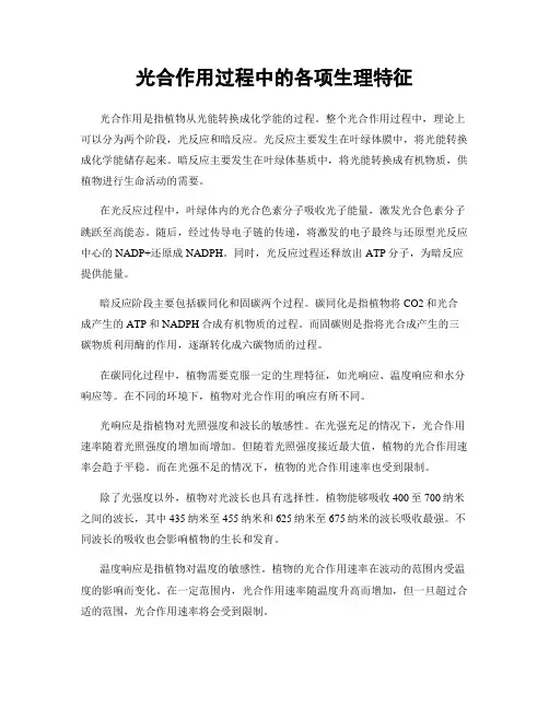 光合作用过程中的各项生理特征