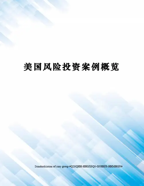 美国风险投资案例概览