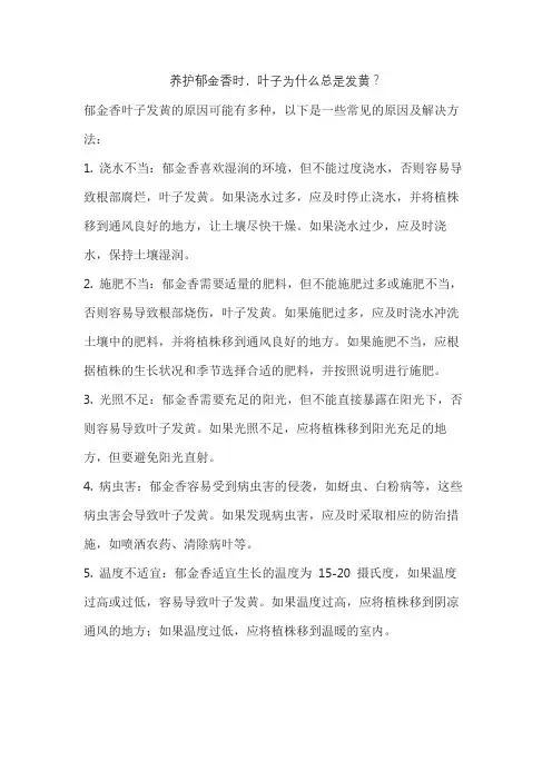 养护郁金香时,叶子为什么总是发黄？