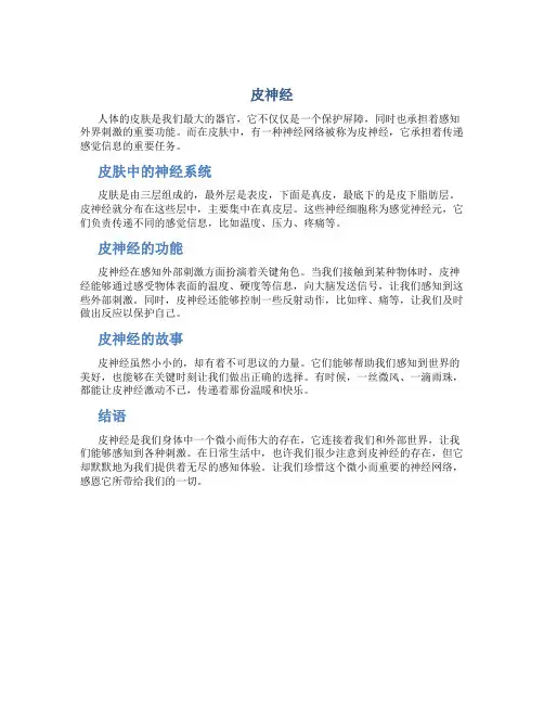 皮神经资料