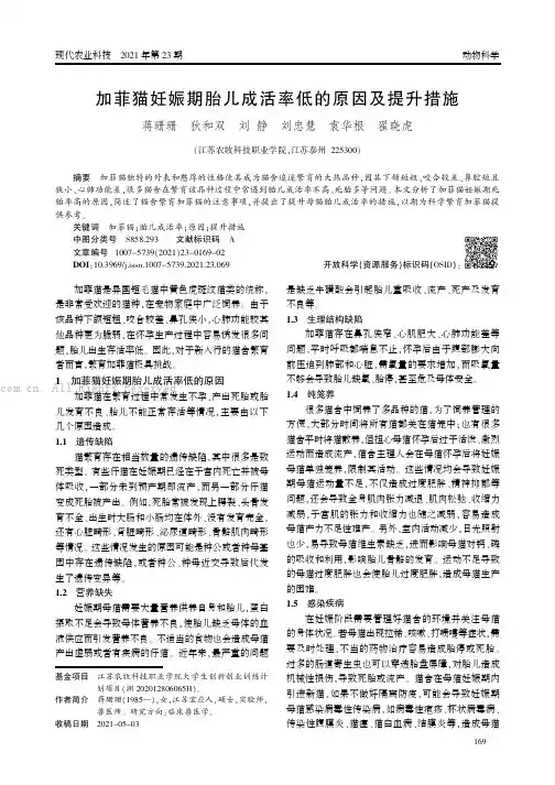 加菲猫妊娠期胎儿成活率低的原因及提升措施