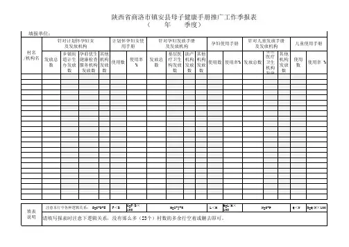 陕西省母子健康手册报表模板