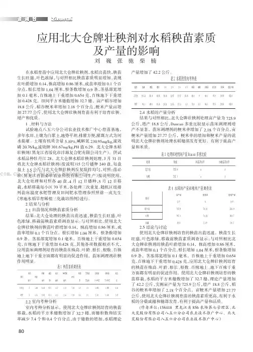 应用北大仓牌壮秧剂对水稻秧苗素质及产量的影响