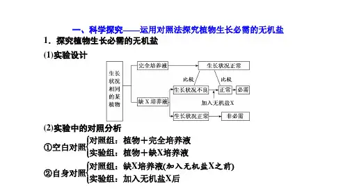 1.2.4探究植物生长必需的无机盐和种子形成和萌发时物质的变化(一轮复习)