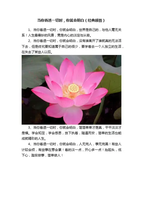 当你看透一切时，你就会明白（经典感悟）