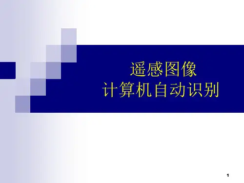 2遥感图像计算机自动识别