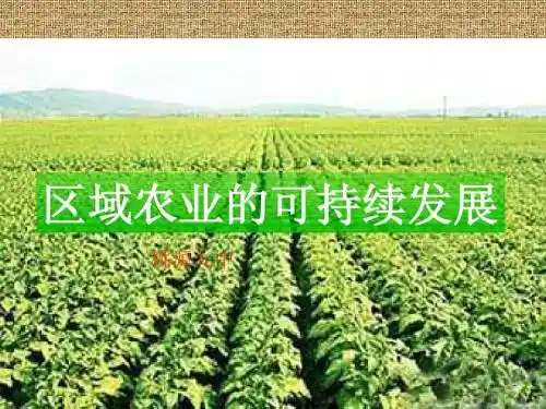 2.4 区域农业的可持续发展 课件(湘教版必修3)
