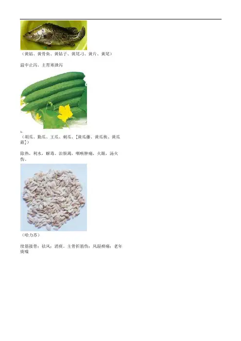 3000种中医药材第901-1000种