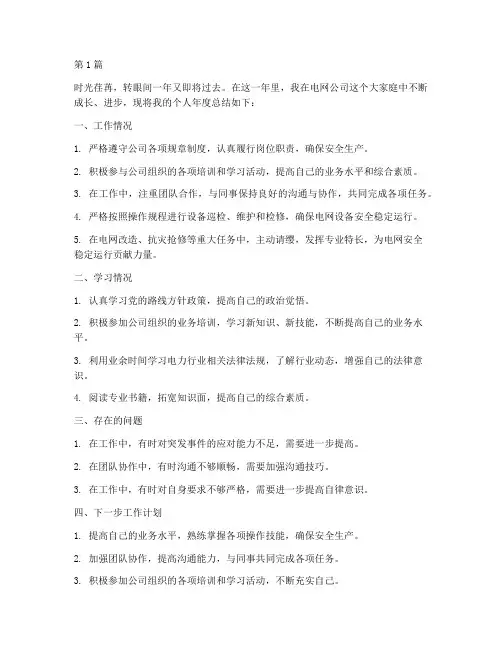 电网职工个人年度总结(3篇)