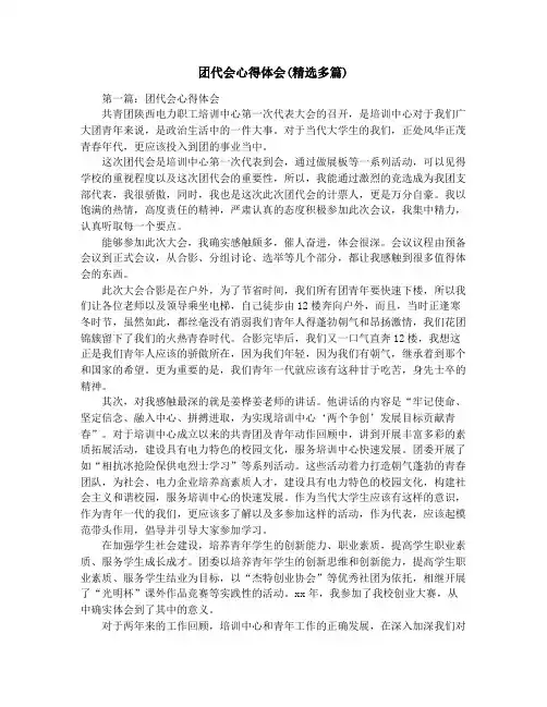 团代会心得体会(精选多篇)