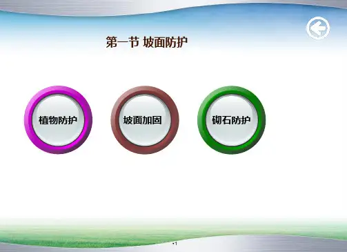 路基边坡防护PPT课件