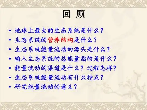5.3 生态系统的物质循环(共31张PPT)