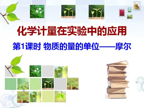 1.2.1物质的量的单位——摩尔