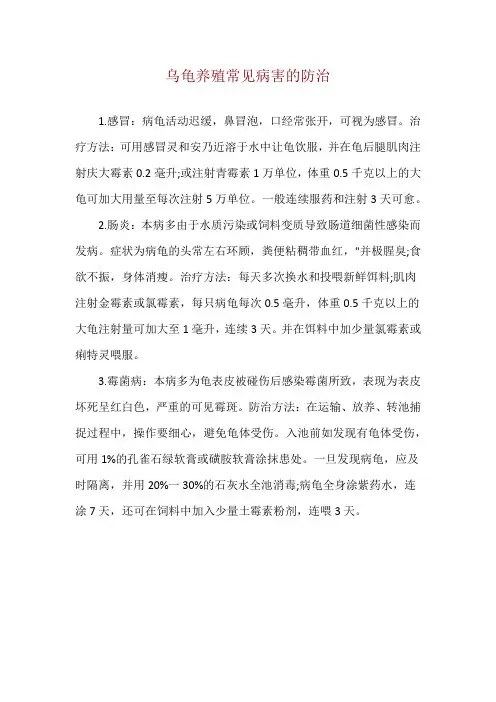乌龟养殖常见病害的防治