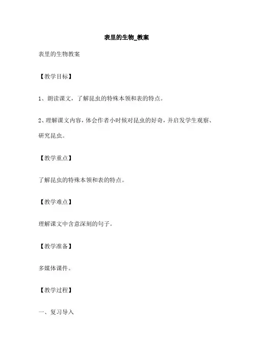 表里的生物 教案