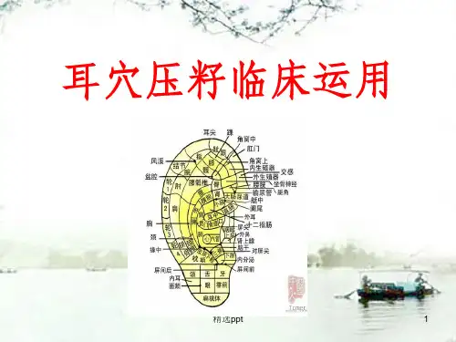 耳穴压籽临床运用PPT课件