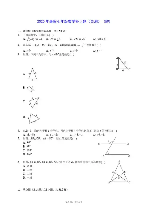 2020年暑假七年级数学补习题(自测) (59)-0718(解析版)