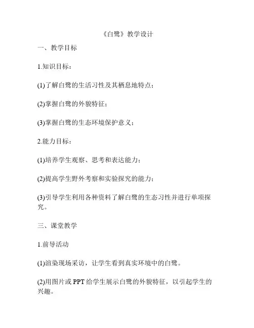 《白鹭》教学设计