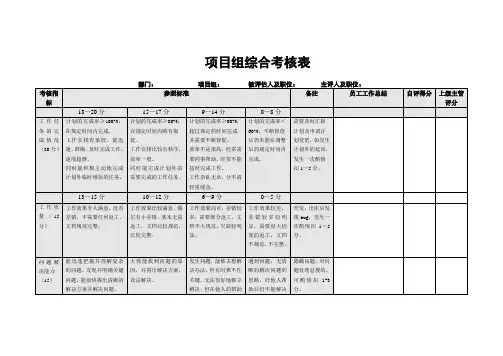 项目组综合考核表(模板)