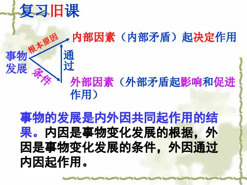 4.1.2坚持内外因相结合的观点(人教版)