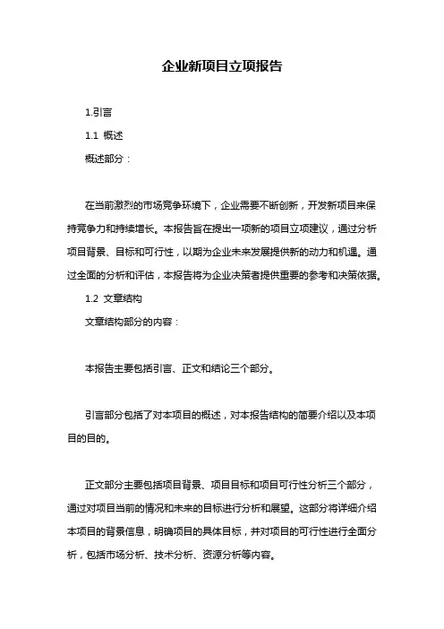 企业新项目立项报告