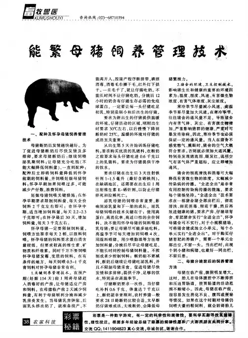 能繁母猪饲养管理技术