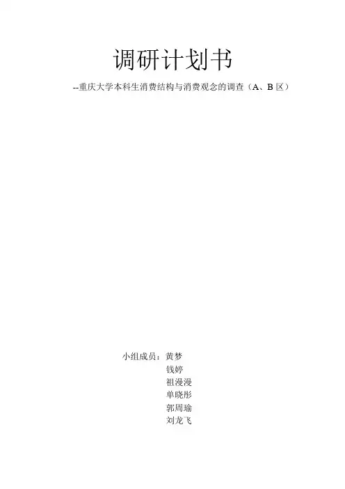 市场调研计划书完整版