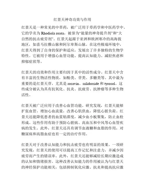 红景天神奇功效与作用