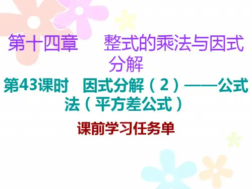 第43课时 因式分解(2)——公式法(平方差公式)