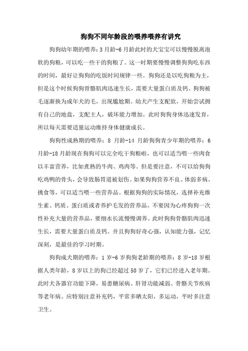狗狗不同年龄段的喂养喂养有讲究