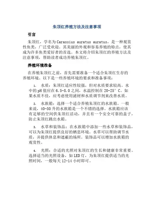 朱顶红养殖方法及注意事项