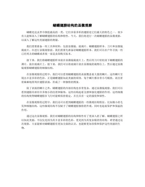 蝴蝶翅膀结构的显微观察
