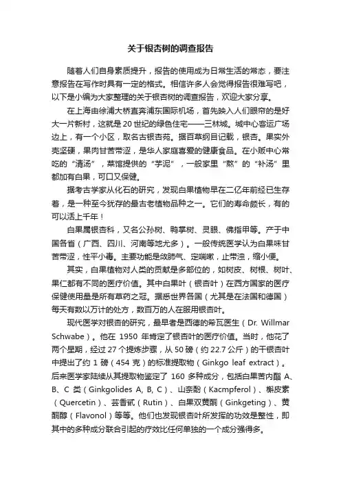 关于银杏树的调查报告