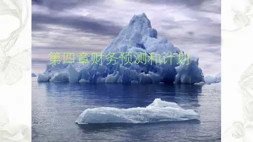 财务预测和计划ppt课件